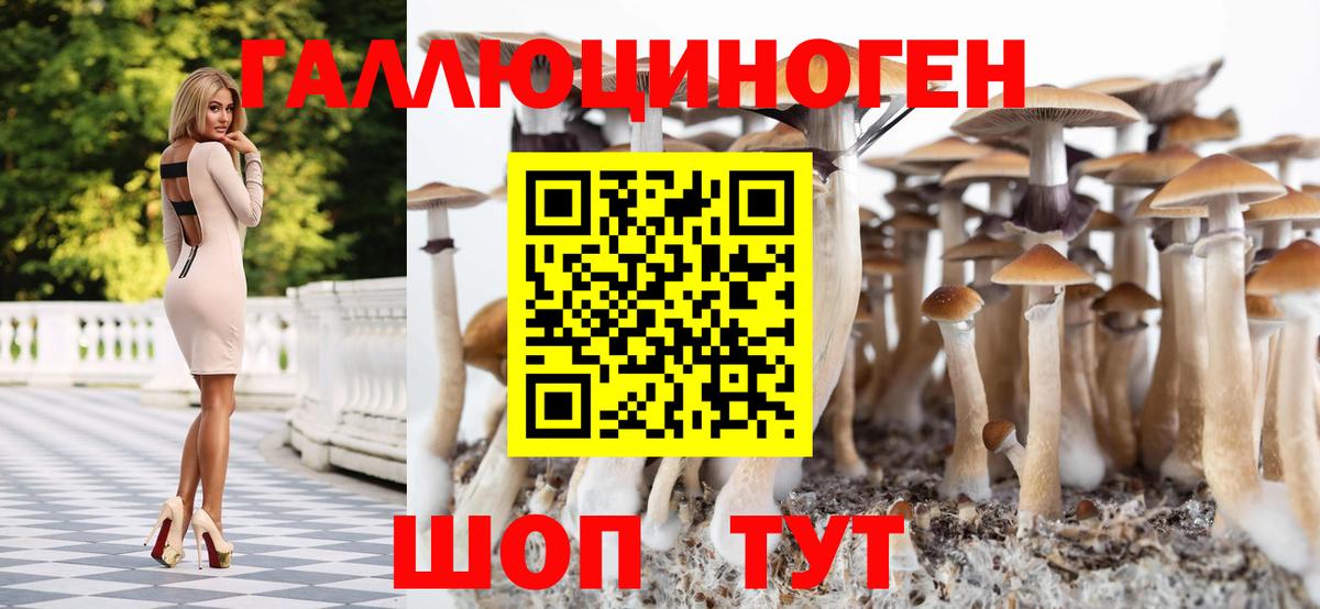 Галлюциногенные грибы MAGIC MUSHROOMS  Псилоцибиновые грибы GOLDEN TEACHER  Вход с VPN  Орёл 
